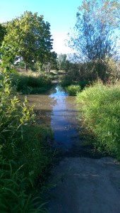 Figuring out the obstacles is part of the point.