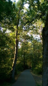 Every day a new journey.