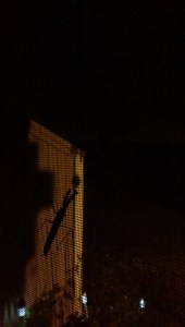 Hanging on, waiting for some other moment? Impermanence is a real thing; this too shall pass.