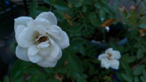 There is so much value in being present in this moment, now, as it is. 