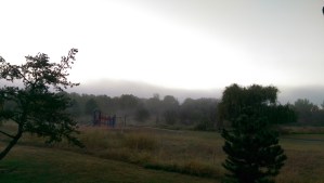 A change of perspective on a misty morning.