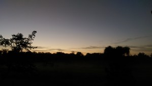 the twilight of dawn