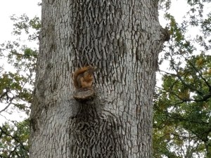 He has his own perspective.