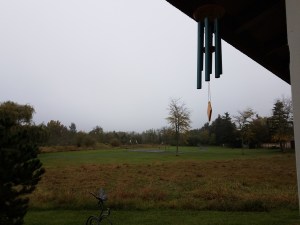 One rainy autumn morning, suitable for reflection - and taking care of me.