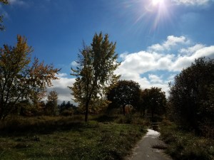 Where does your path lead?