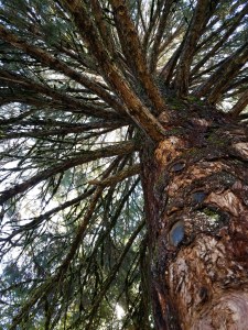 a change of perspective