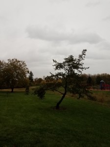 Letting the rain fall without fretting about it.