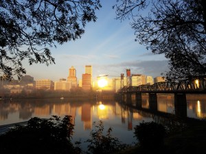 A wordless moment of clarity... a picture as a metaphor.