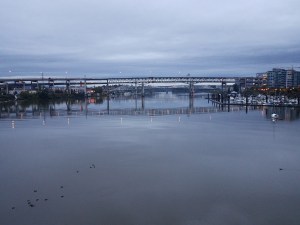 ...What? All I said was "cry me a river"!