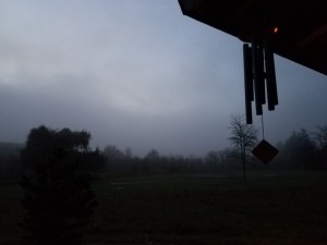 Mist obscures the autumn skyline of the trees on the far side of the park. I assume they are still there.