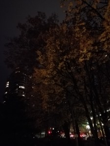 Another perspective on the day