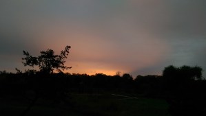 Each sunrise is new and different.