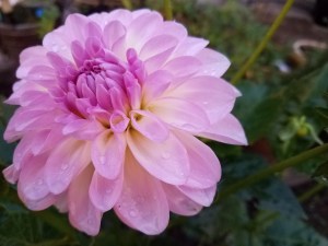 What moments of joy will I find along the way today?