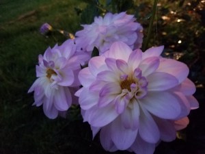 A pause to appreciate something nice can be so helpful. :-)