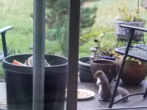 We are each living thinking creatures, each having our own experience.