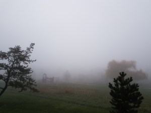 Misty mornings seem to offer the potential to remake the world, differently.