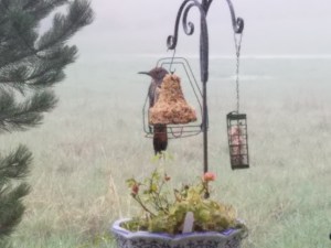 ...What is "within reach" depends, too, on our perceptions, and our tools...