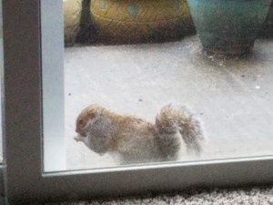 As with most things, even "enough" is a matter of perspective.