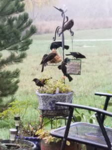 ...We are each having our own experience.