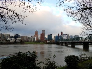 ...each morning, from the same vantage point, another perspective on life...