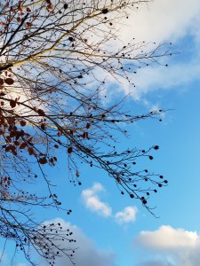 Even cold winter days offer beautiful moments.