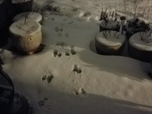 We are each having our own experience. Perspective matters.