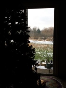 I watch as snow begins to fall.