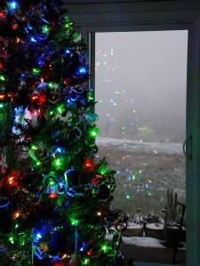 If we take time to see it, the view is continuously changing.