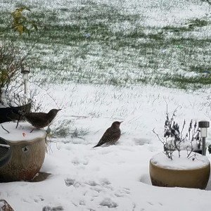 Each having our own experience.