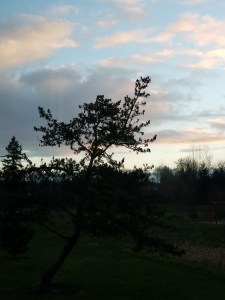 A new day, suitable for beginning again. 