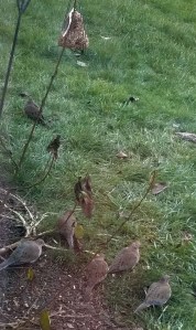 Sometimes "enough" doesn't require much.