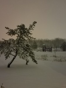 Eerie pre-dawn sky, on a snowy day.