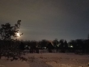 Evening from my meditation cushion.