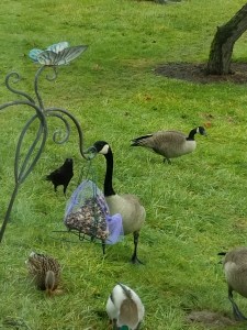 We share this world, this life, with so many other creatures...