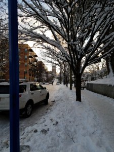 Wait, or walk? Today I wait.