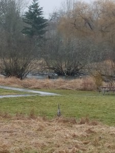 My patience pays off.