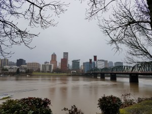 The view through a misty morning rain.