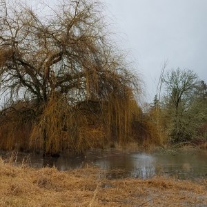 Favorite places for a moment of meditation are flooded, too.