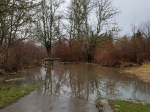 A favorite trail was flooded. It was necessary to choose another way.
