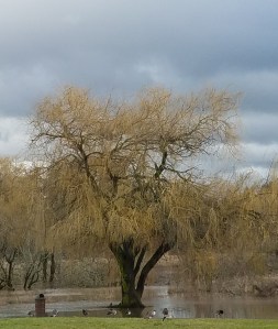 Some days are rainy. I may need different things in my everyday carry to account for the weather. :-)