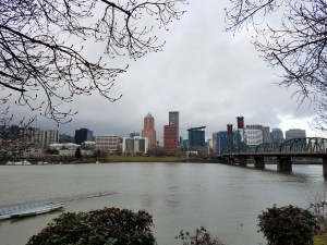 I pause in the usual place, and gaze across the river to the city that has been so much of my life for so long.